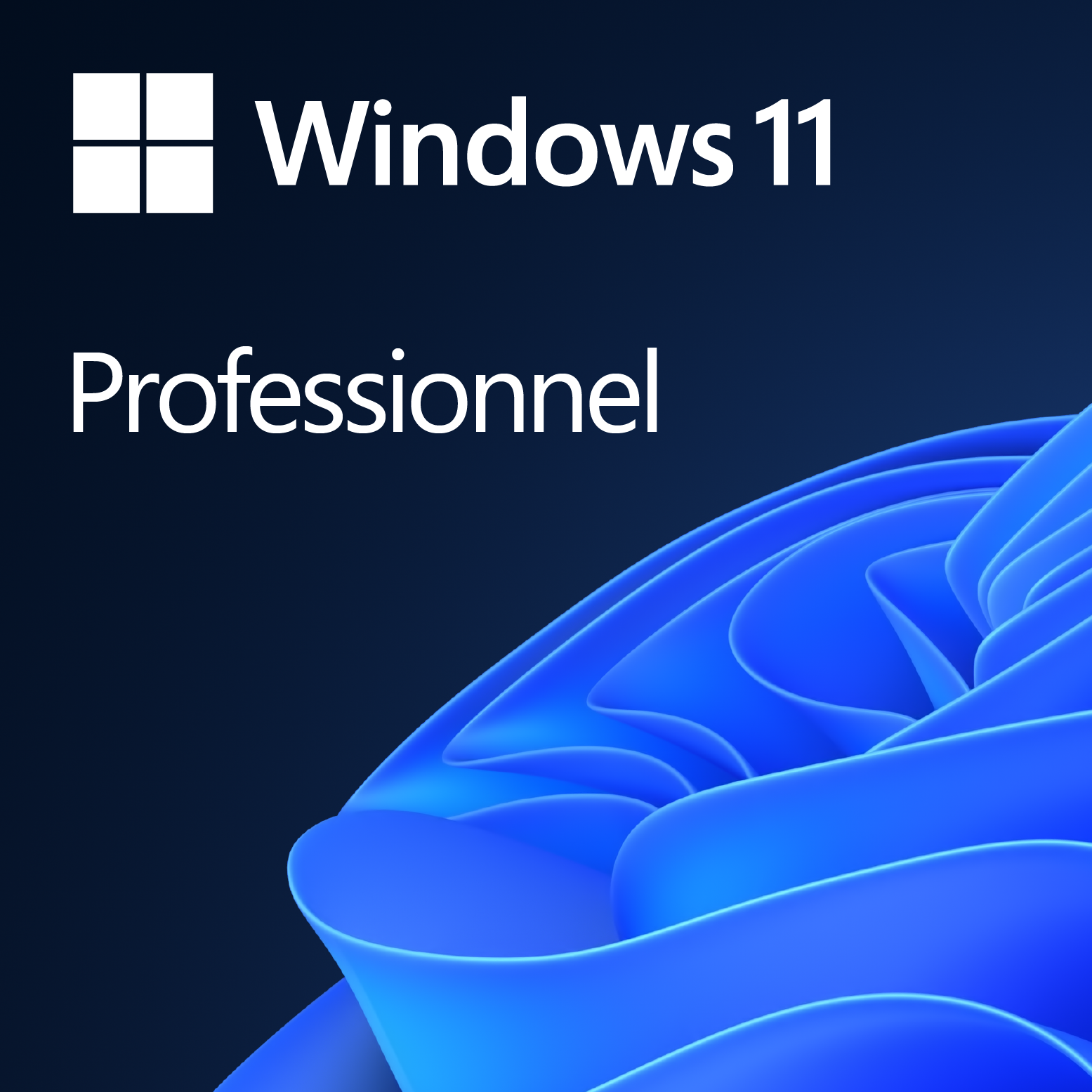 21efddcf-be56-41ac-a9f5-7cd7ac04eaa0 Microsoft Windows 11 Professionnel - OEM (DVD) – Image 1