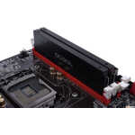 Alphacool Modules D-RAM pour Waterblock - Noir 2 pièces – Image 3