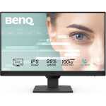 BenQ 23.8" LED - GW2491
