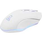 The G-Lab KULT HELIUM WL (Blanc) – Image 4