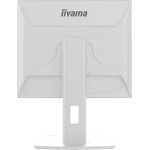 iiyama 19" LED - ProLite B1980S-W1 – Image 4